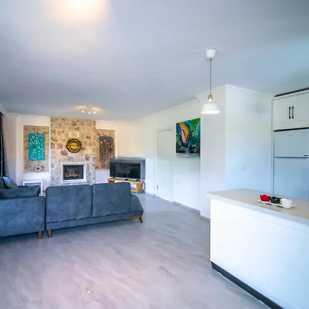 Dadya 3 - With Private Pool In Marmaris Turgut